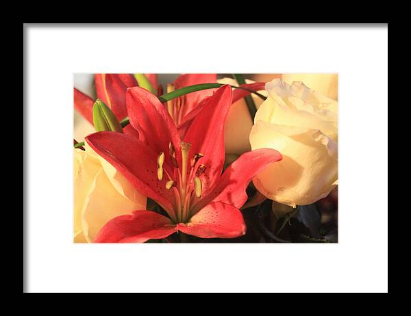 Nature Framed Print featuring the photograph Strawberries and Cream by Linda Phelps
