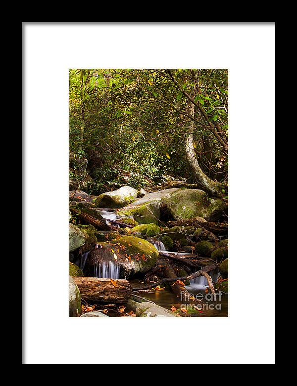Stream Framed Print featuring the photograph Stream at Roaring Fork by Lena Auxier