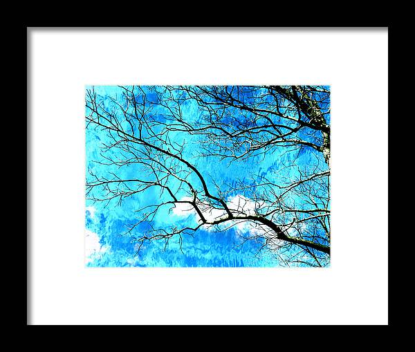 Sky Framed Print featuring the photograph Streaming Skies by Shawna Rowe