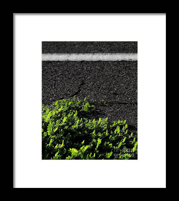 Digital Color Photo Framed Print featuring the digital art Street Growth by Tim Richards
