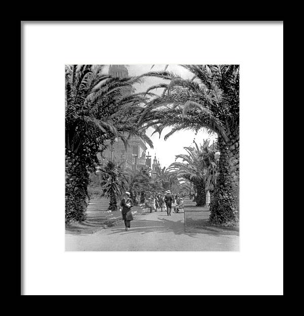 Vintage Photograph Framed Print featuring the photograph Avenue of the Palms, San Francisco by A Macarthur Gurmankin