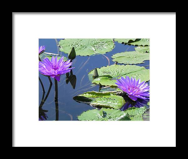 Photography Framed Print featuring the photograph Striking Silhouettes by Chrisann Ellis