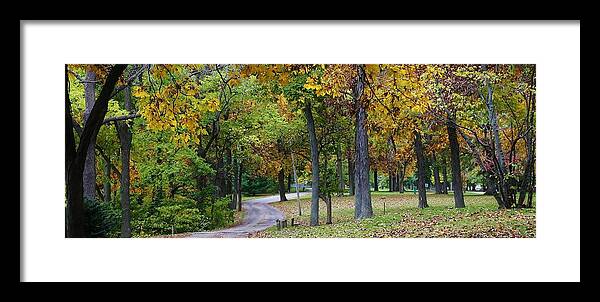 Woodland Framed Print featuring the photograph Stroll through the Park by Bruce Bley