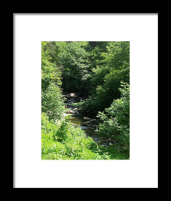 Landscape Framed Print featuring the photograph Strolling Stream by Rosanne Bartlett