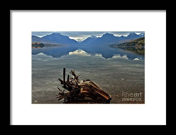 Glacier National Park Framed Print featuring the photograph Stumped by Adam Jewell