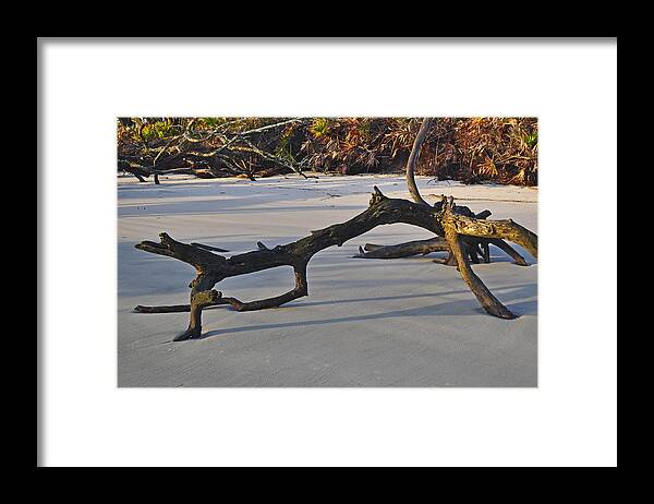 Beach Photographs Framed Print featuring the photograph Stumps on the Beach 1.7 by Bruce Gourley