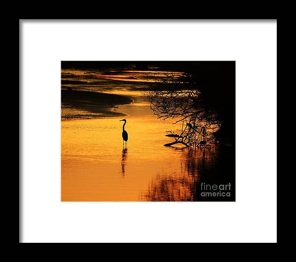 Heron At Sunset Framed Print featuring the photograph Sublime Silhouette by Al Powell Photography USA