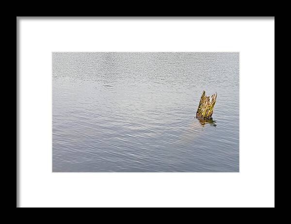 Water Framed Print featuring the photograph Submerged by Brooke Friendly