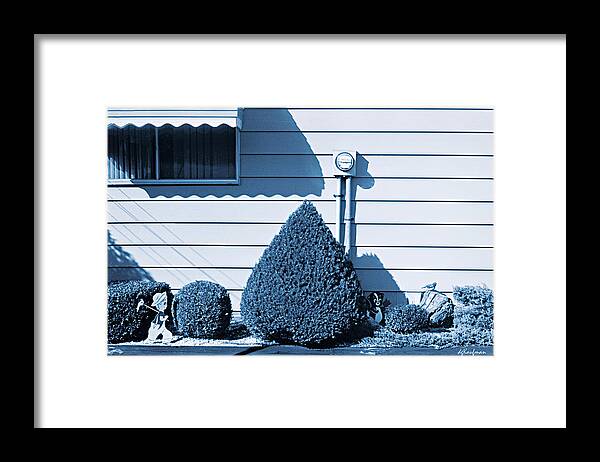 Suburban Garden Framed Print featuring the photograph Suburban Garden No. 3 by Dolores Kaufman