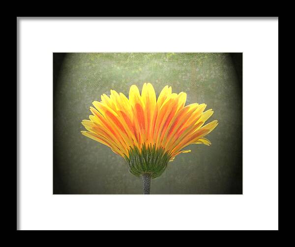  Framed Print featuring the photograph Such Joy In The Light by Sandi OReilly