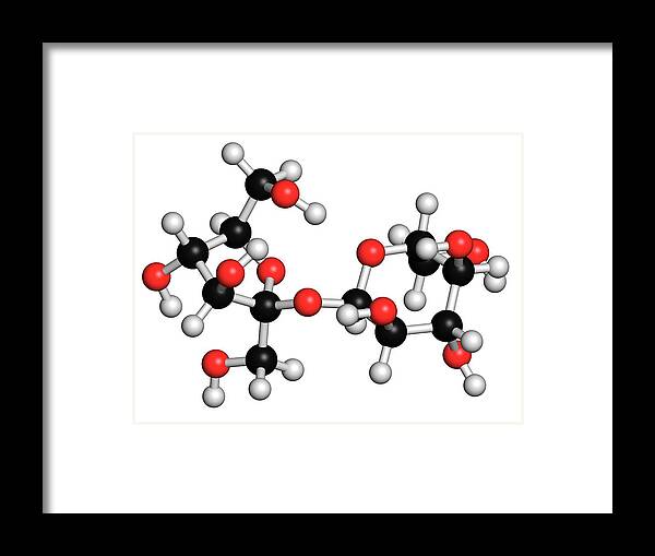 Sucrose Framed Print featuring the photograph Sucrose Sugar Molecule by Molekuul