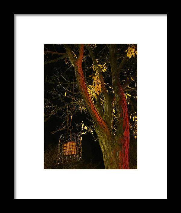 Suet Framed Print featuring the photograph Suet in a Cage by Guy Ricketts