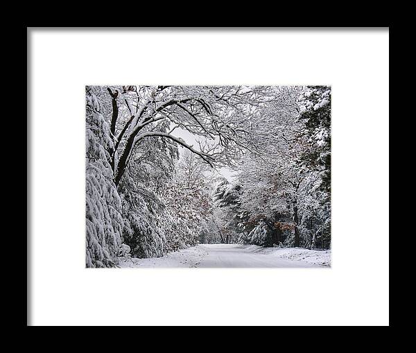 Winter Framed Print featuring the photograph Sugar Coated by Leda Robertson
