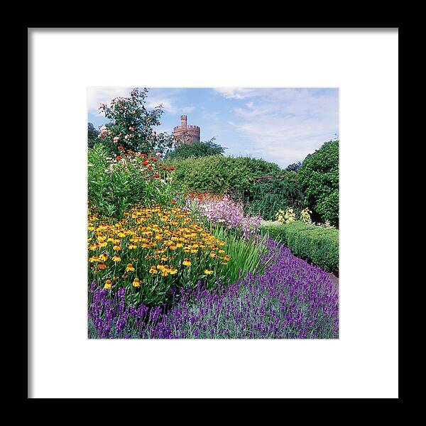 Herbaceous Border Framed Print featuring the photograph Summer Border by Anthony Cooper/science Photo Library