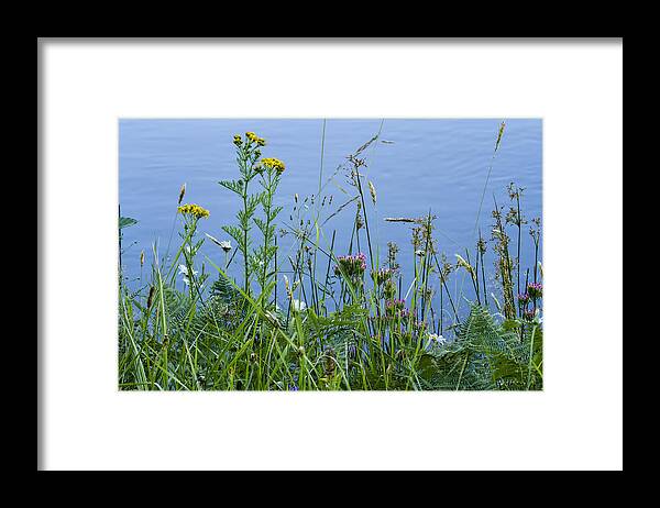 Wildflowers Framed Print featuring the photograph Summer Bouquet by Belinda Greb