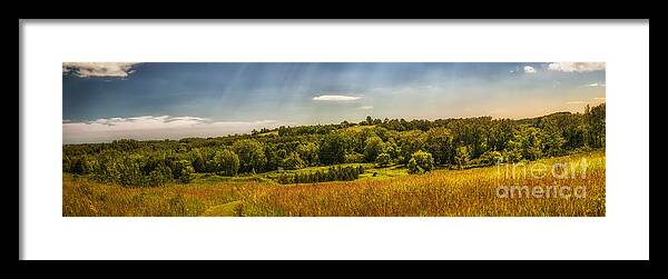 Landscape Framed Print featuring the photograph Summer countryside by Elena Elisseeva
