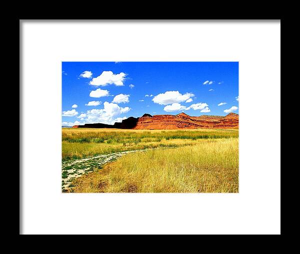 Ranch Land Framed Print featuring the photograph Summer Day on Ranch Land by Antonia Citrino