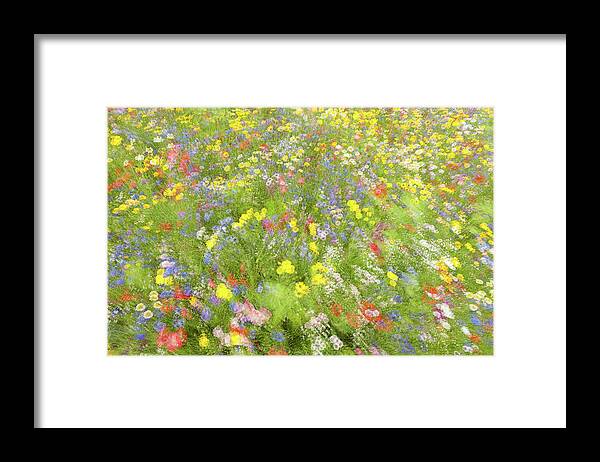 Impressionism Framed Print featuring the photograph Summer Field Flowers.......... by Piet Haaksma