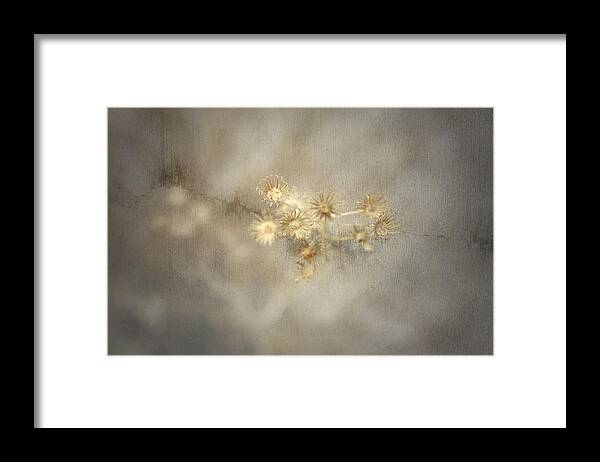 Dry Framed Print featuring the photograph Summer Toast by Mark Ross