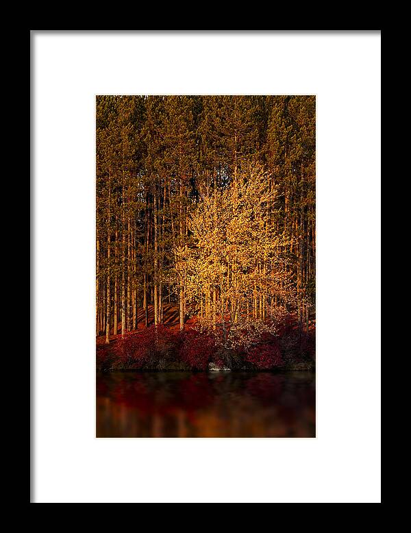 Autumn Framed Print featuring the photograph Summers End by Susan Candelario