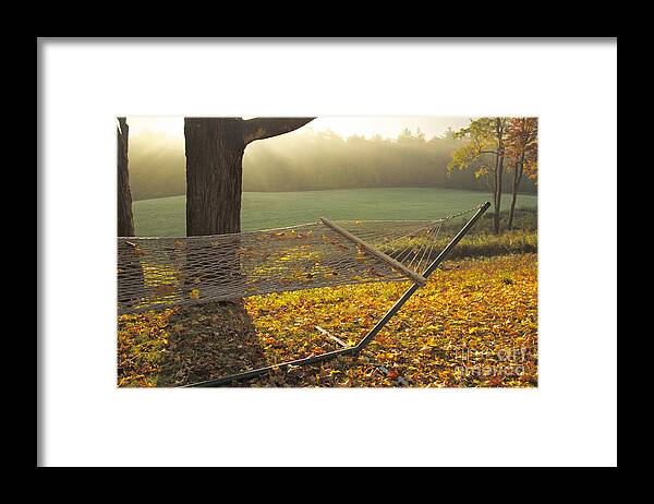 Vermont Framed Print featuring the photograph Summer's Repose by Alice Mainville