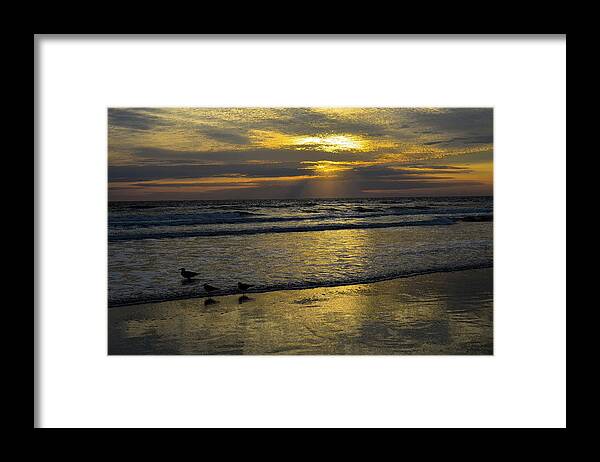 Beach Framed Print featuring the photograph Sun Day by Jerry Hart