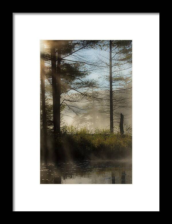 Sun Framed Print featuring the photograph Sun up at Lowell Lake 2 by Vance Bell