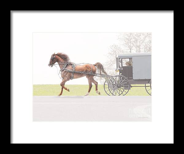 Amish Framed Print featuring the photograph Sunday Ride by Dyle  Warren