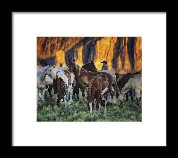 Horeses Framed Print featuring the photograph Sundown by Pamela Steege