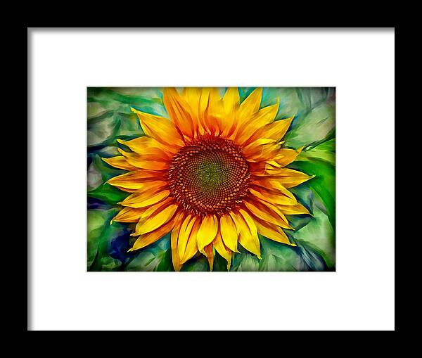 Sunflower Framed Print featuring the photograph Sunflower - paint edition by Lilia S