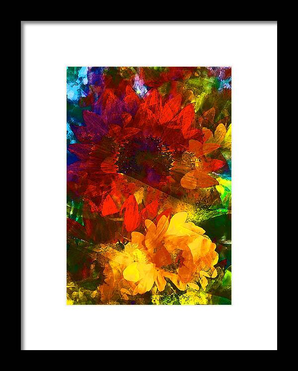 Floral Framed Print featuring the photograph Sunflower 11 by Pamela Cooper