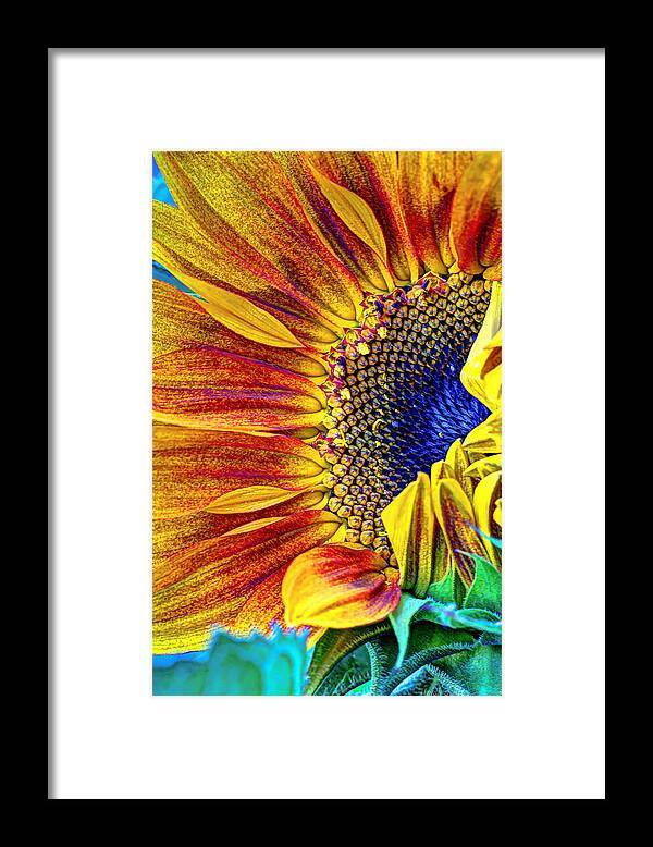 Sunflower Framed Print featuring the photograph Sunflower Abstract by Heidi Smith