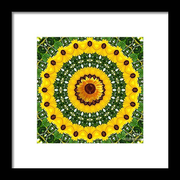 Sunflower Picture Framed Print featuring the photograph Sunflower Centerpiece by Joseph J Stevens