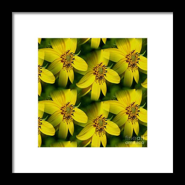 Flower Framed Print featuring the photograph Sunflower Dreams by Smilin Eyes Treasures