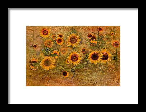 Sunflowers Framed Print featuring the photograph Sunflower Garden by Melinda Dreyer