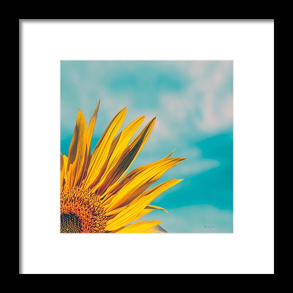 Sunflower Framed Print featuring the photograph Sunflower In The Corner by Bob Orsillo