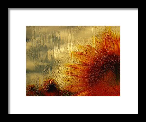 Photo Framed Print featuring the painting Sunflower In The Rain by Jack Zulli