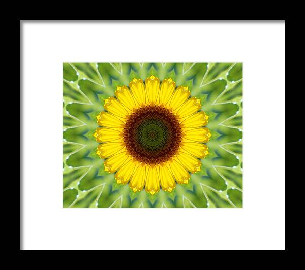 Kaleidoscope Greeting Card Framed Print featuring the photograph Sunflower Kaleidoscope 1 by Sheri McLeroy