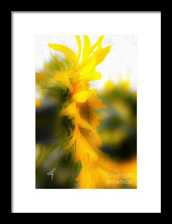 Sunflower Framed Print featuring the photograph Sunflower by Leo Symon