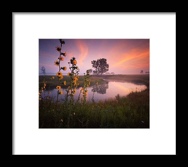 Sunset Framed Print featuring the photograph Sunflower Sunrise by Ray Mathis