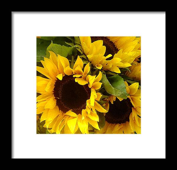 Sunflowers Framed Print featuring the painting Sunflowers by Amy Vangsgard