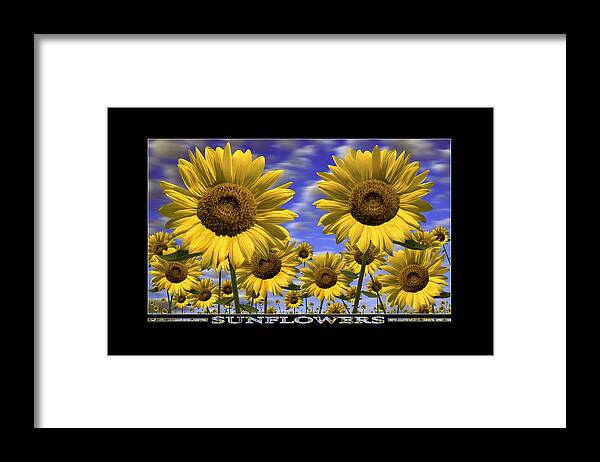 Flowers Framed Print featuring the photograph Sunflowers Show Print by Mike McGlothlen