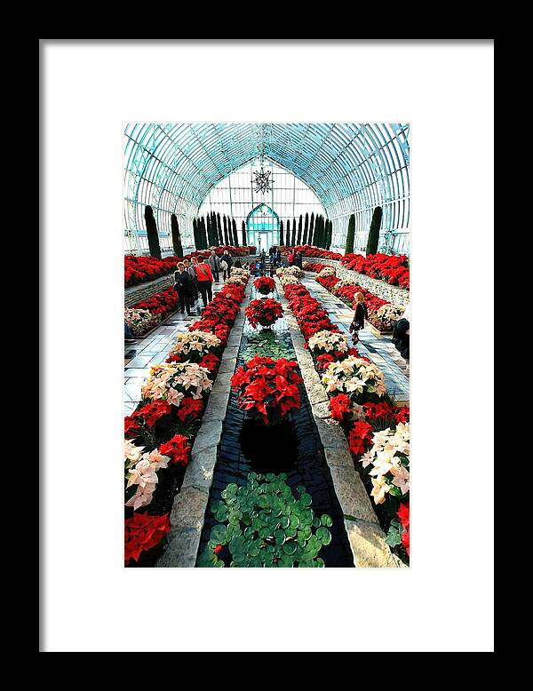 Sunken Garden Framed Print featuring the photograph Sunken Garden Como Conservatory by Amanda Stadther