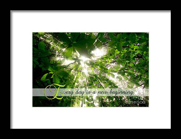 Sunlight Framed Print featuring the photograph Sunlight Streaming Through Leaves Trees in a Forest by Beverly Claire Kaiya