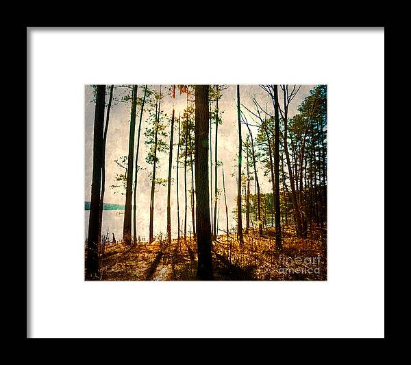 Beauty Framed Print featuring the photograph Sunlight Through The Trees by Dawn Gari