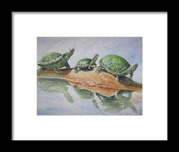 Turtles Framed Print featuring the painting Sunning Turtles by Marilyn Clement
