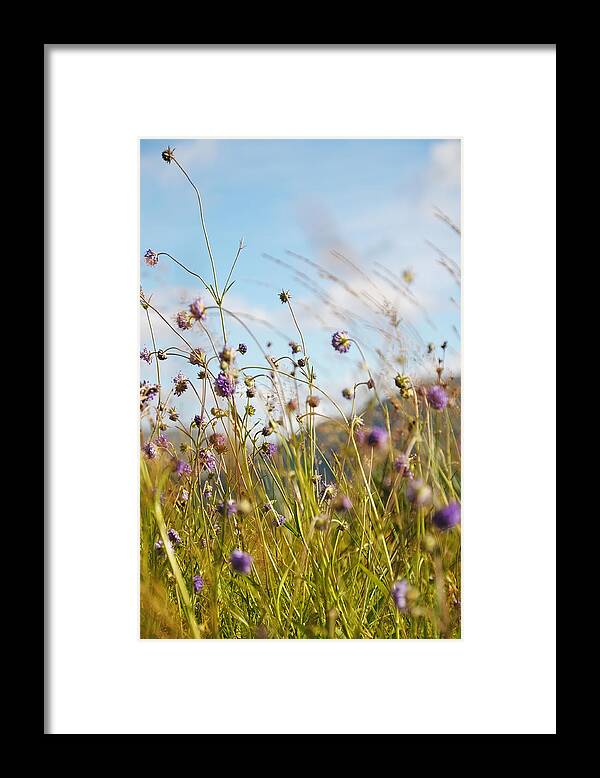 Scotland Framed Print featuring the photograph Sunny Bliss. Rest and Be Thankful. Scotland by Jenny Rainbow