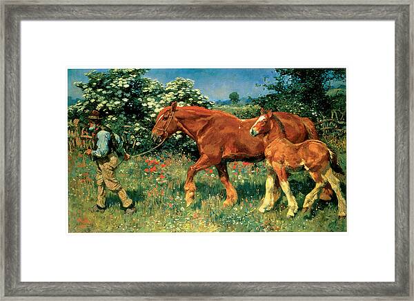 Great Horse Art c.1901 Sunny June Alfred Munnings 