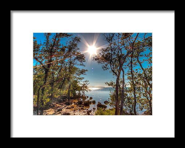 Sun Framed Print featuring the photograph Sunny Key Largo by George Kenhan