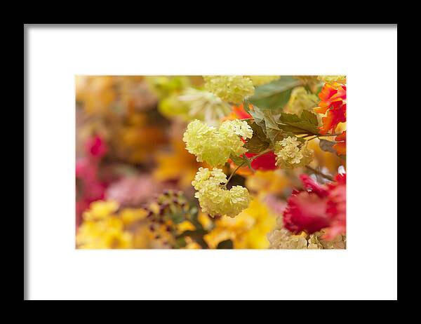Flower Framed Print featuring the photograph Sunny Mood. Amsterdam Flower Market by Jenny Rainbow